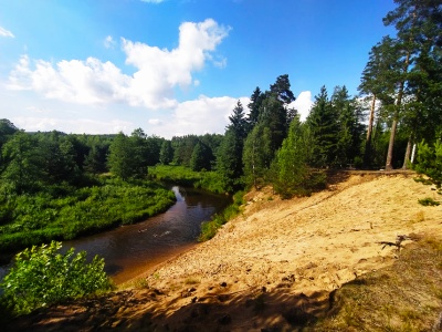 Популярные направления