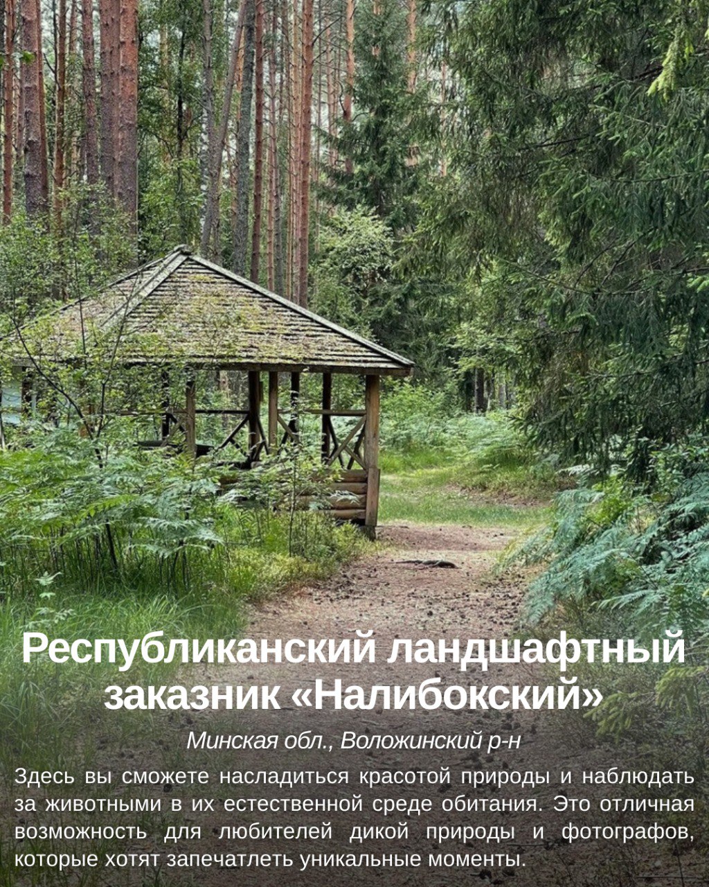 Интересные места Воложинского района