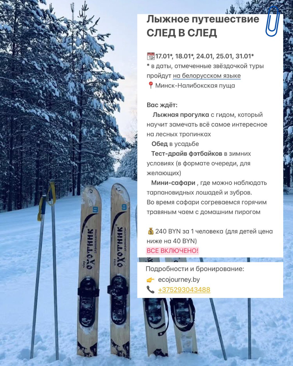 Зимняя сказка