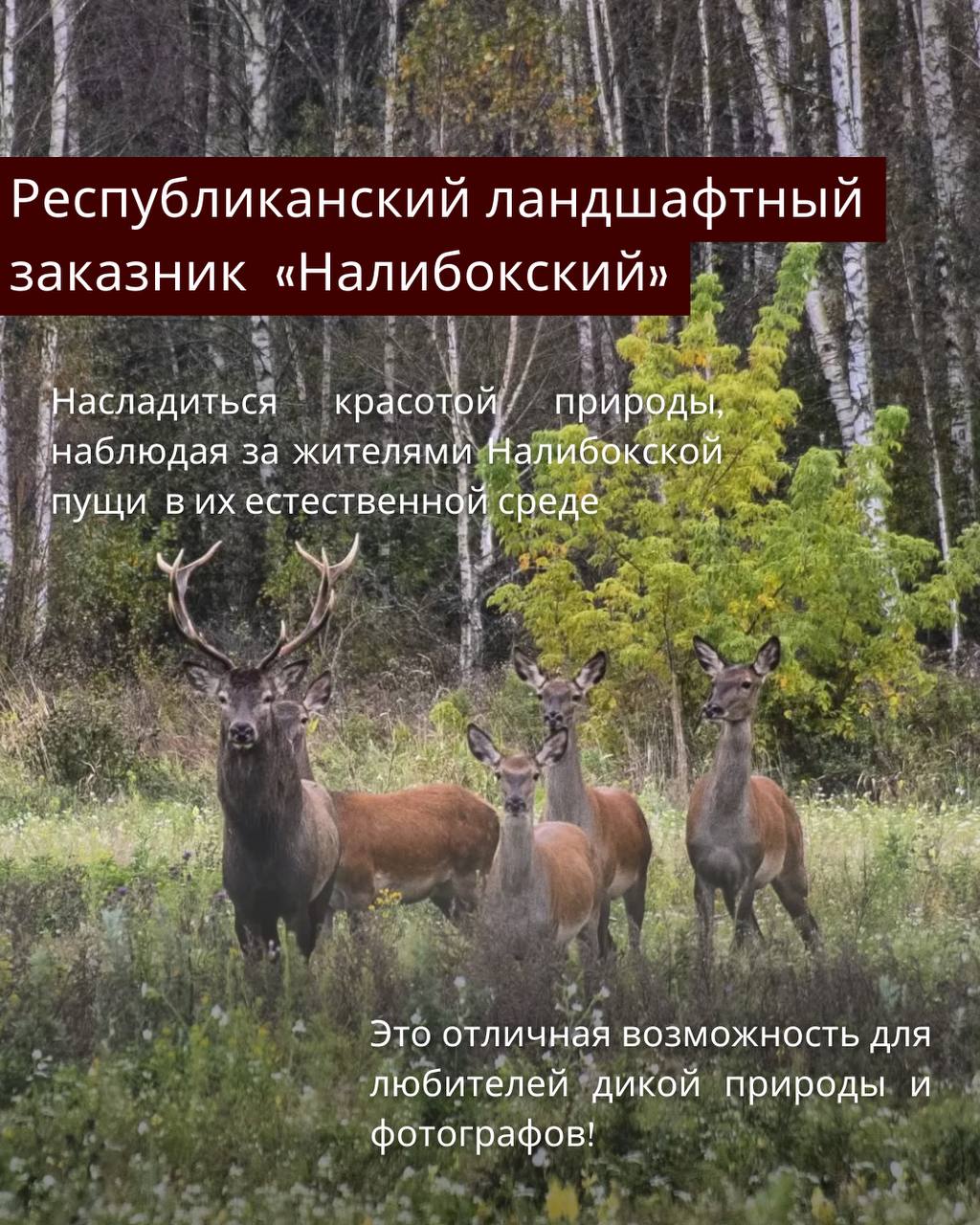 Что нужно обязательно сделать этой весной