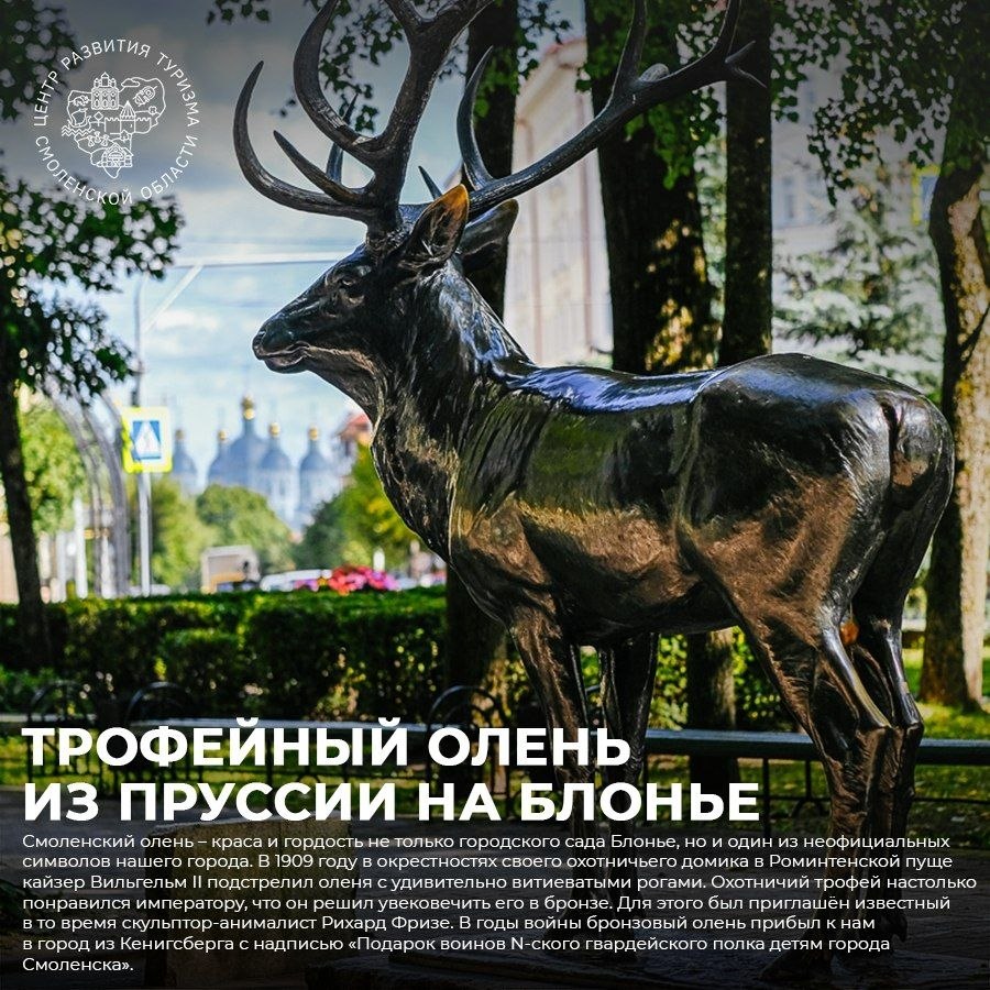 Куда поехать на выходные в Смоленской области?