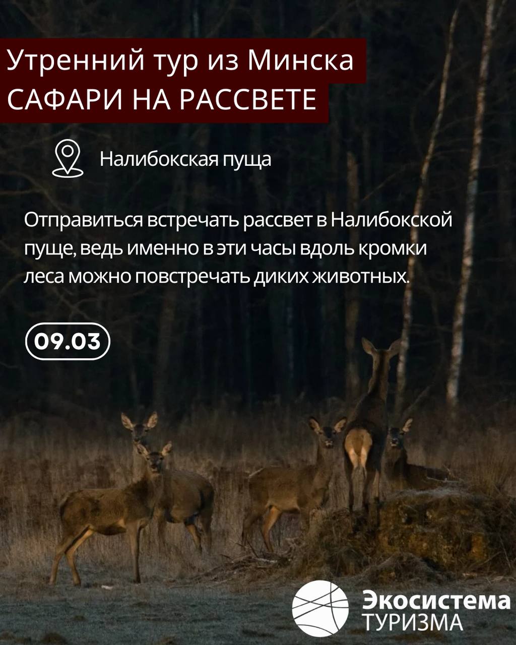 Что нужно обязательно сделать этой весной