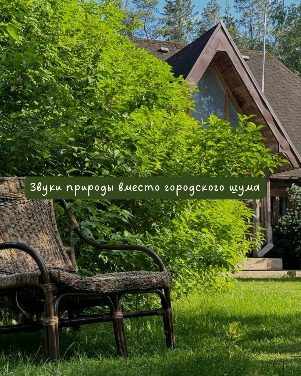 Почему стоит провести выходные за городом?
