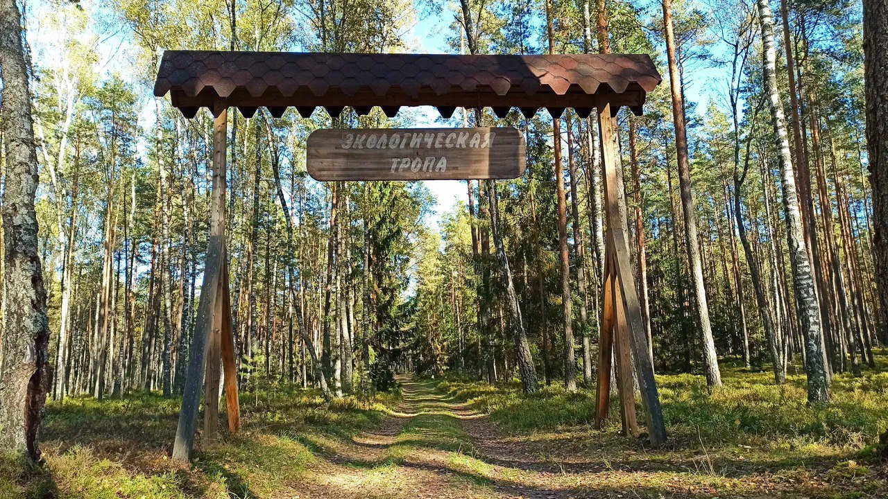 От Налибокской пущи до солигорских терриконов