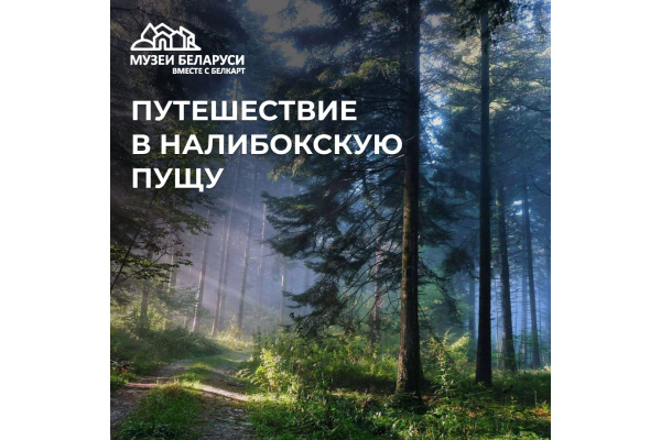 Налибокская пуща зовет в путешествие по неведомым местам и тропинкам, окутанным тайнами