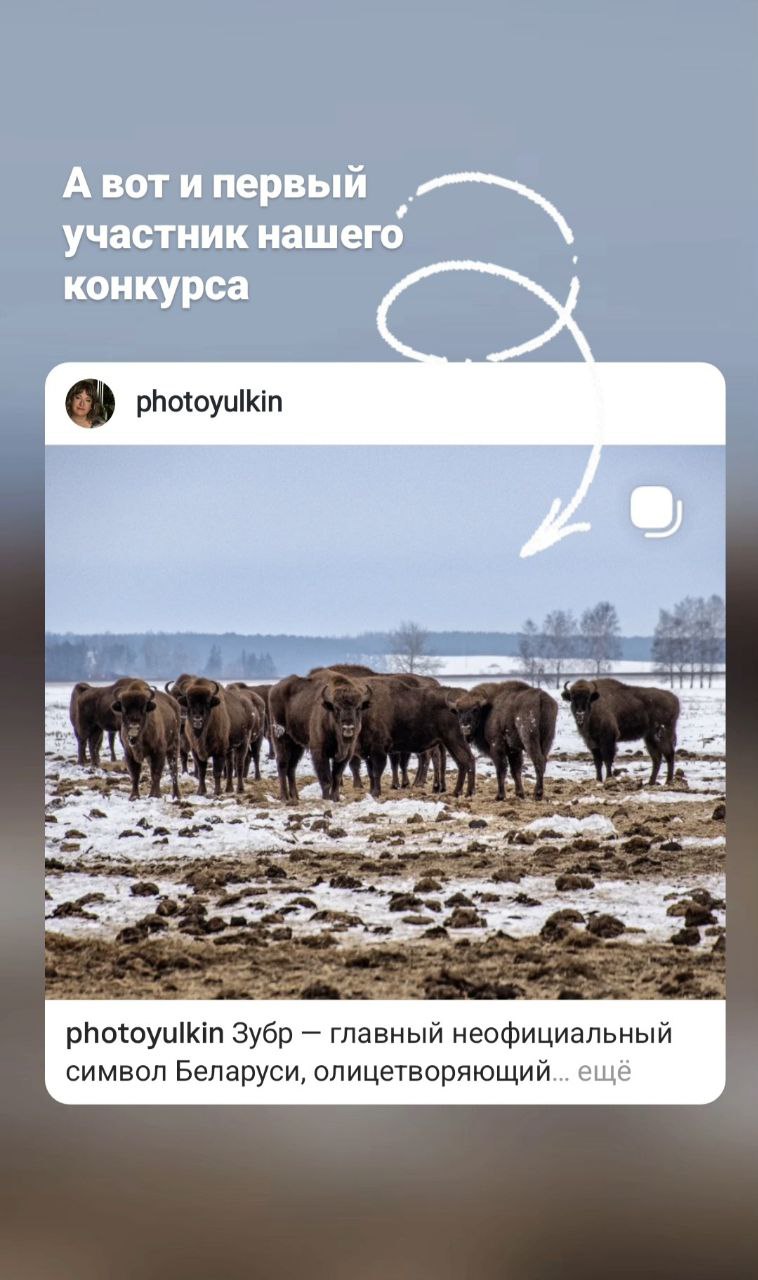 Напоминаем, что в нашем Instagram проходит конкурс!