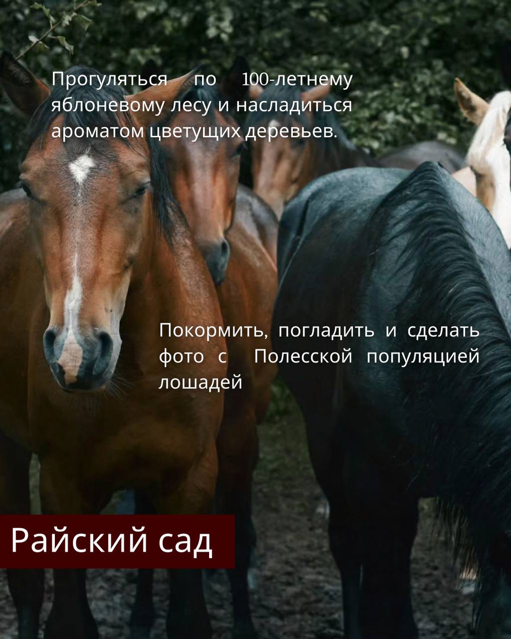 Что нужно обязательно сделать этой весной