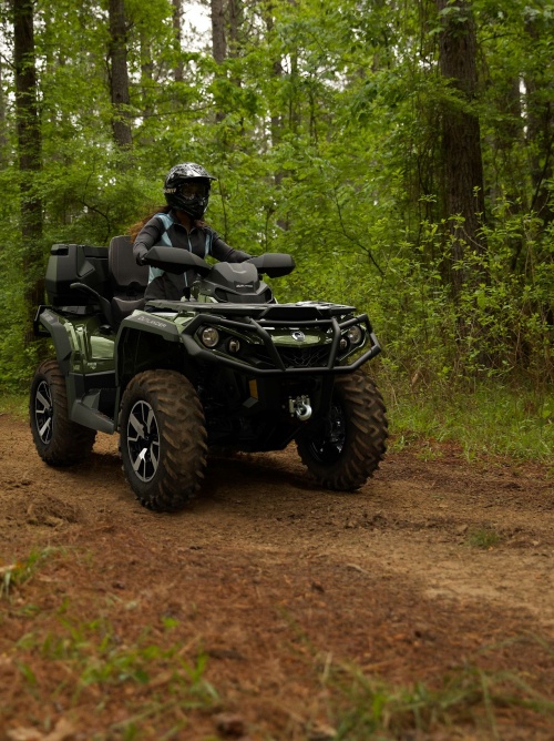 Популярные направления