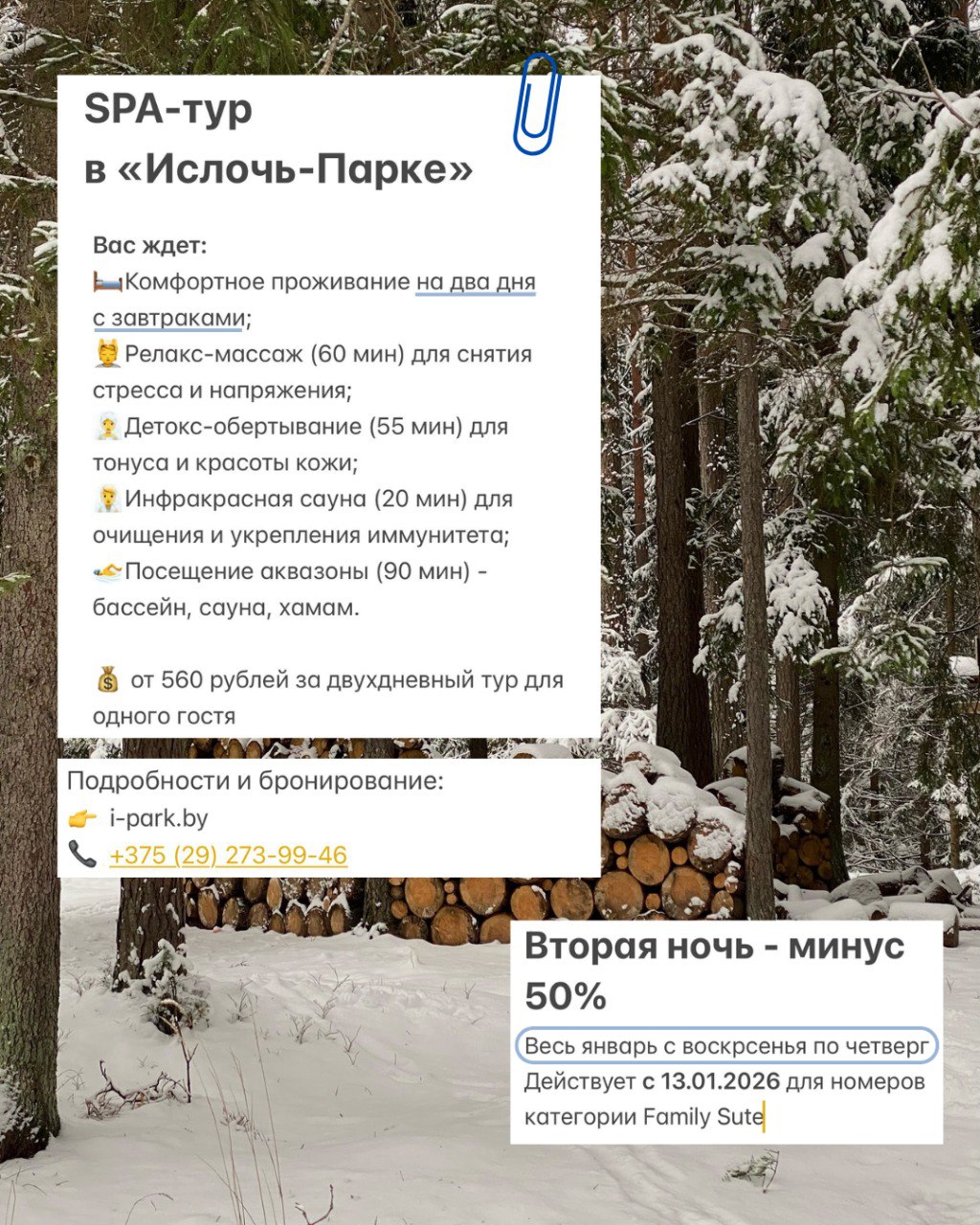 Зимняя сказка