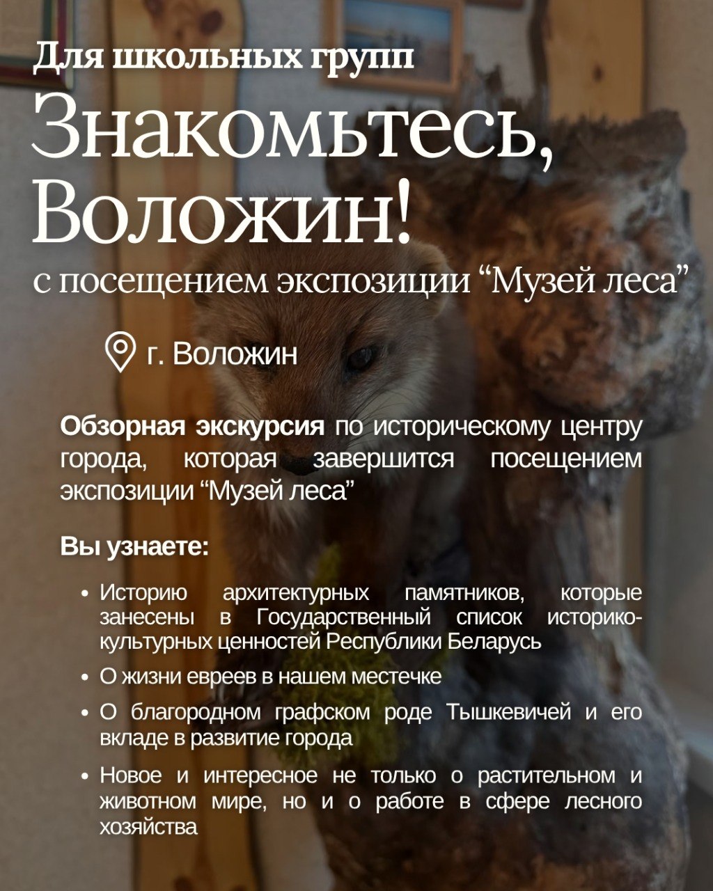 Наши экскурсии