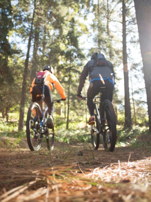 Популярные направления