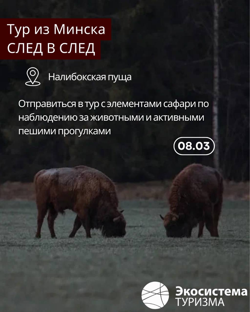 Что нужно обязательно сделать этой весной