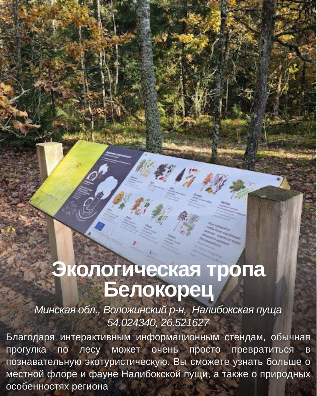 Интересные места Воложинского района
