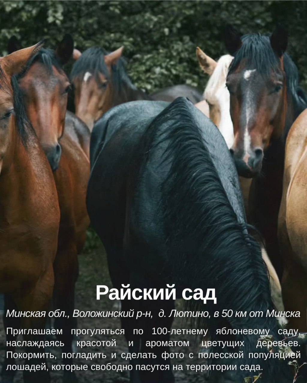 Интересные места Воложинского района
