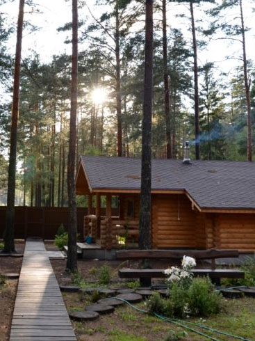 Популярные направления