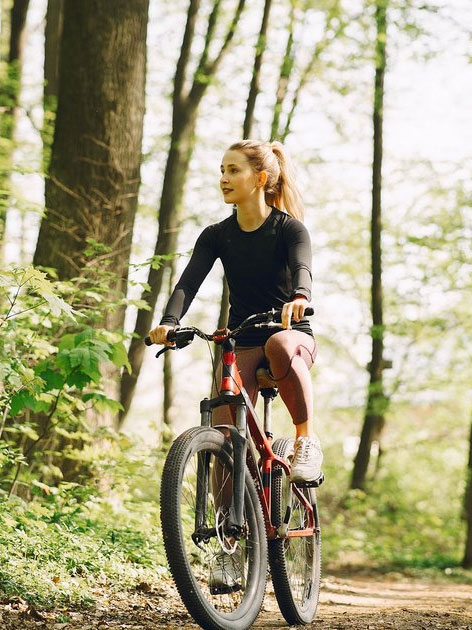 Популярные направления