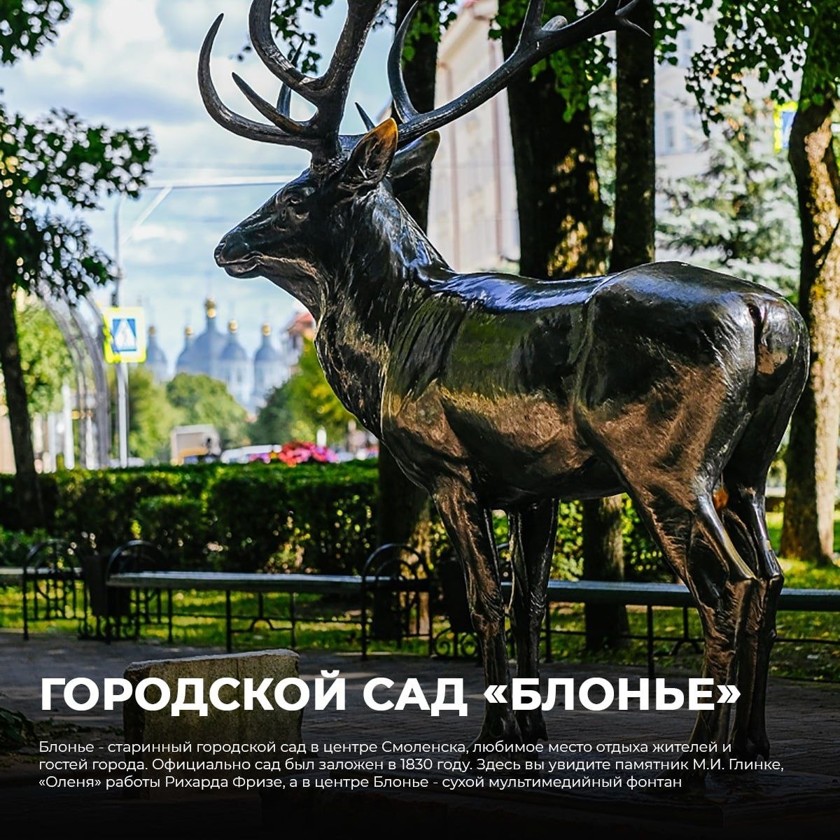 Осень - лучшее время, чтобы открыть для себя Смоленск в новых красках!