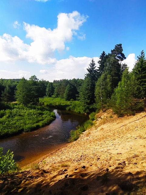 Популярные направления