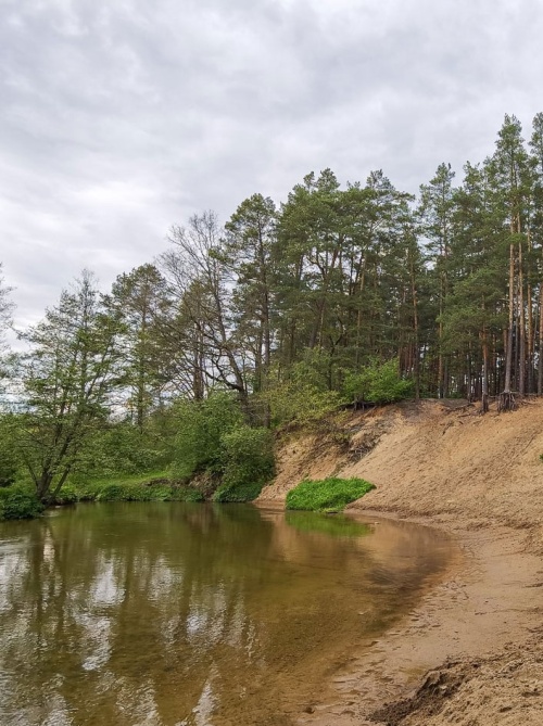 Популярные направления