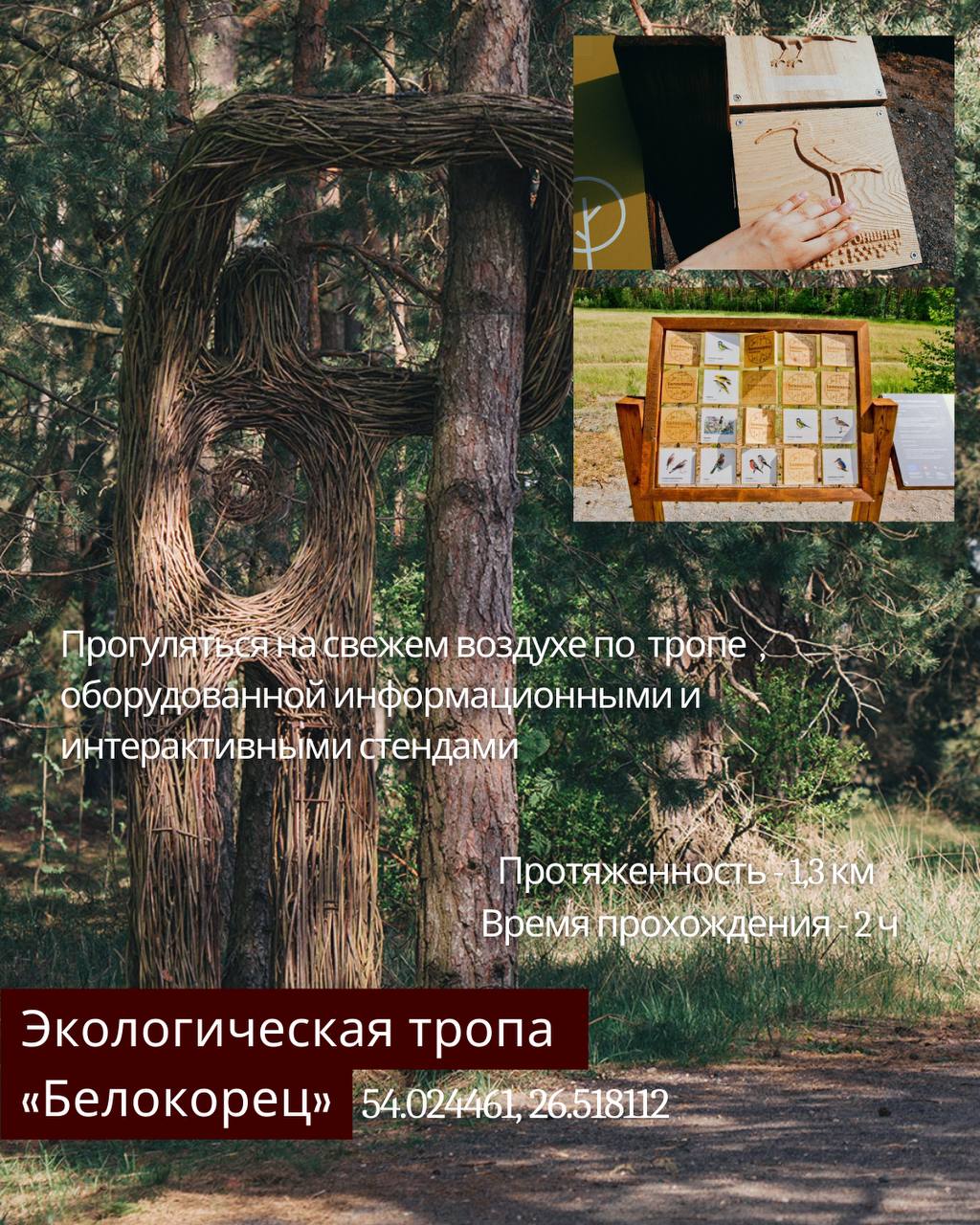 Что нужно обязательно сделать этой весной