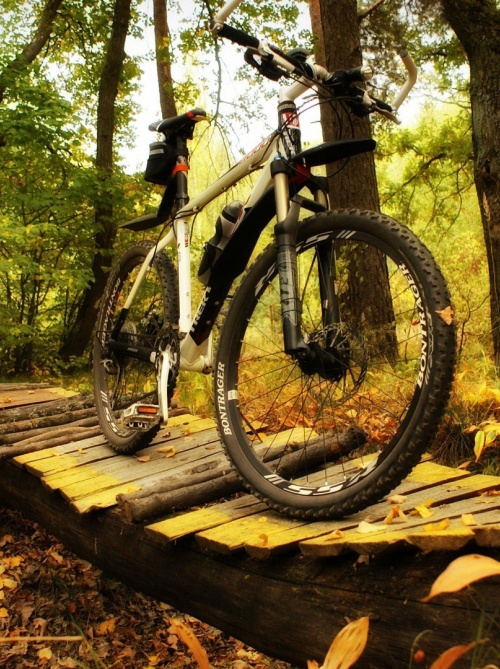 Популярные направления