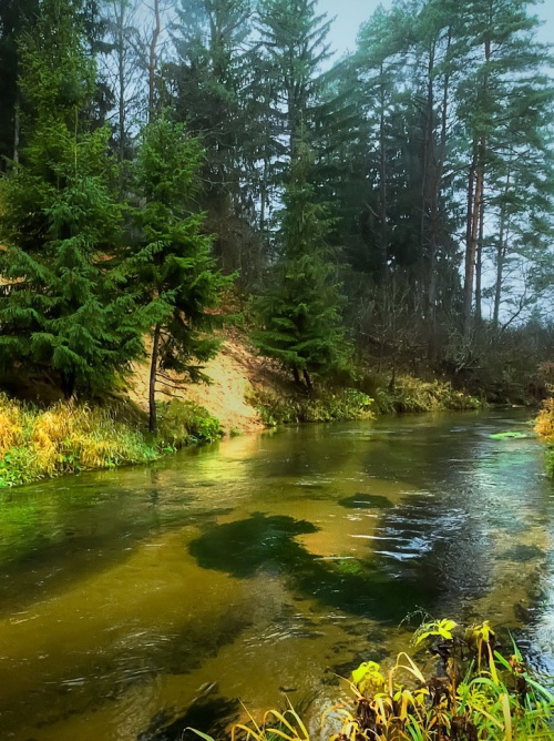 Популярные направления