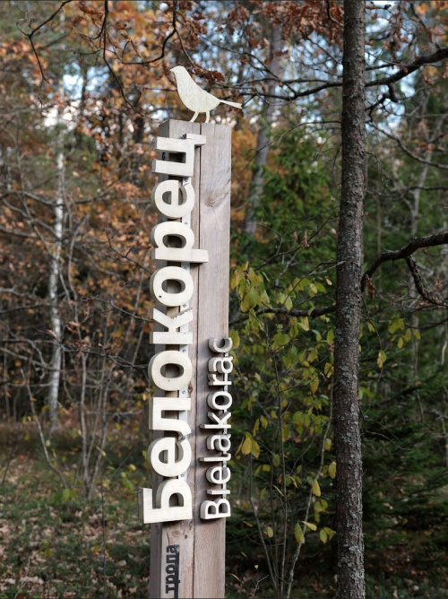 Популярные направления