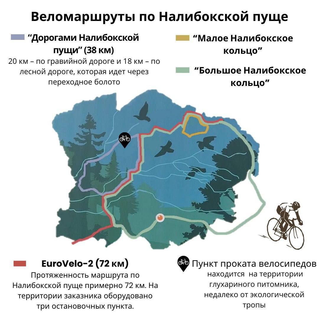 Веломаршруты по Налибокской пуще