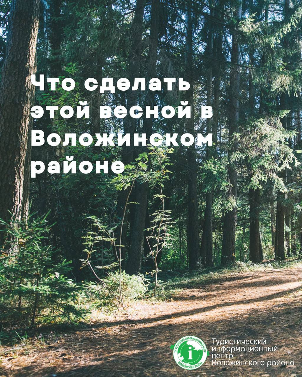 Что нужно обязательно сделать этой весной
