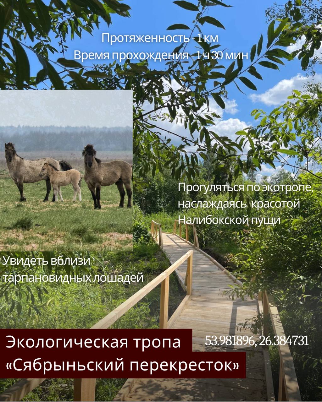 Что нужно обязательно сделать этой весной