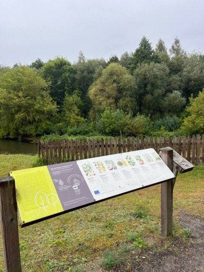 Популярные направления