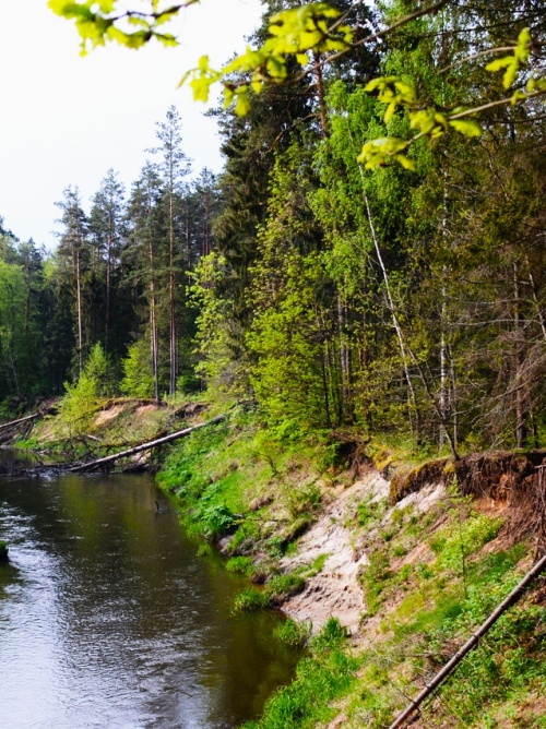 Популярные направления