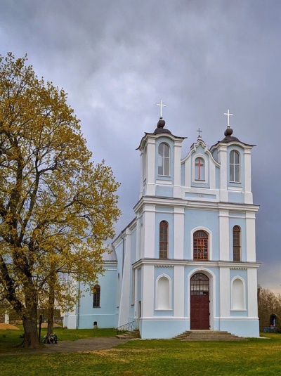 Популярные направления